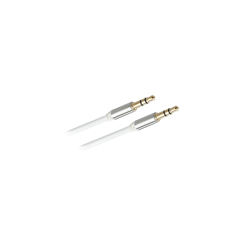 C20 AUX 1M CABLE كيبل