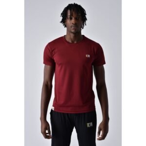 ICAN DRAY FIT T-SHIRT تيشيرت شبابي دراي فيت لون خمري