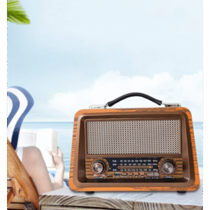 Raiseng R-2066BT Wooden Rechargeable Radio