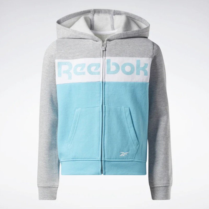 Reebok BIG INTL REEBOK COLORBLOCK HOO