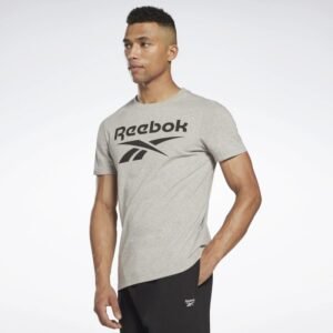 تيشيرت ريبوك ادينتتي بيج لوجو للرجال لون سكني- Reebok Men's Identity Big Logo T-Shirt- Silver