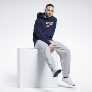 Reebok Reebok CL F VECTOR HOODIE