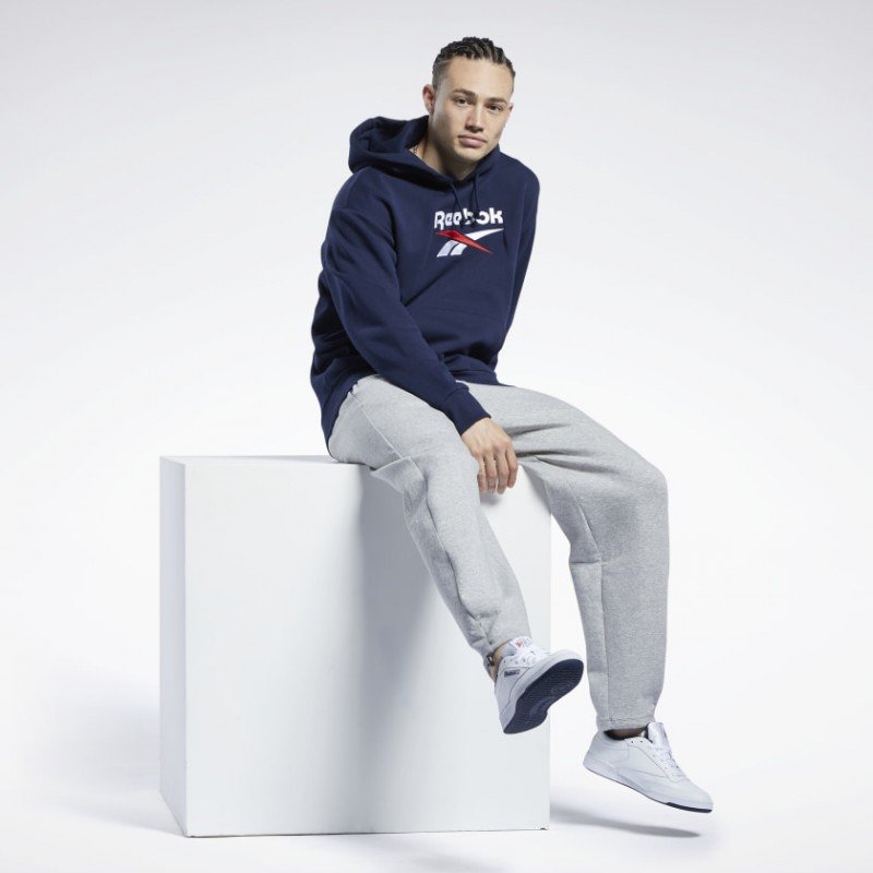 Reebok Reebok CL F VECTOR HOODIE