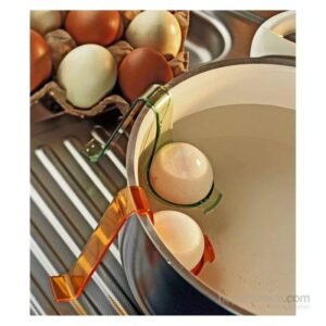 حامل بيض عدد 2