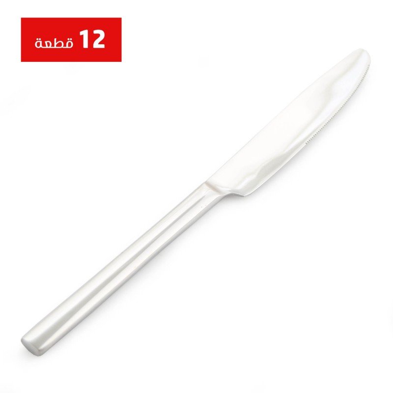 طقم سكاكين طعام ستانلس 12 قطعة