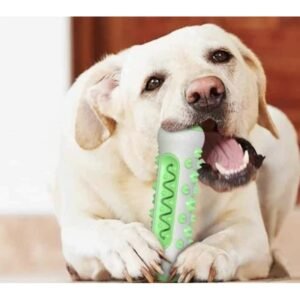 عظمة لتنظيف اسنان الحيوانات الأليفة (الكلاب والقطط)