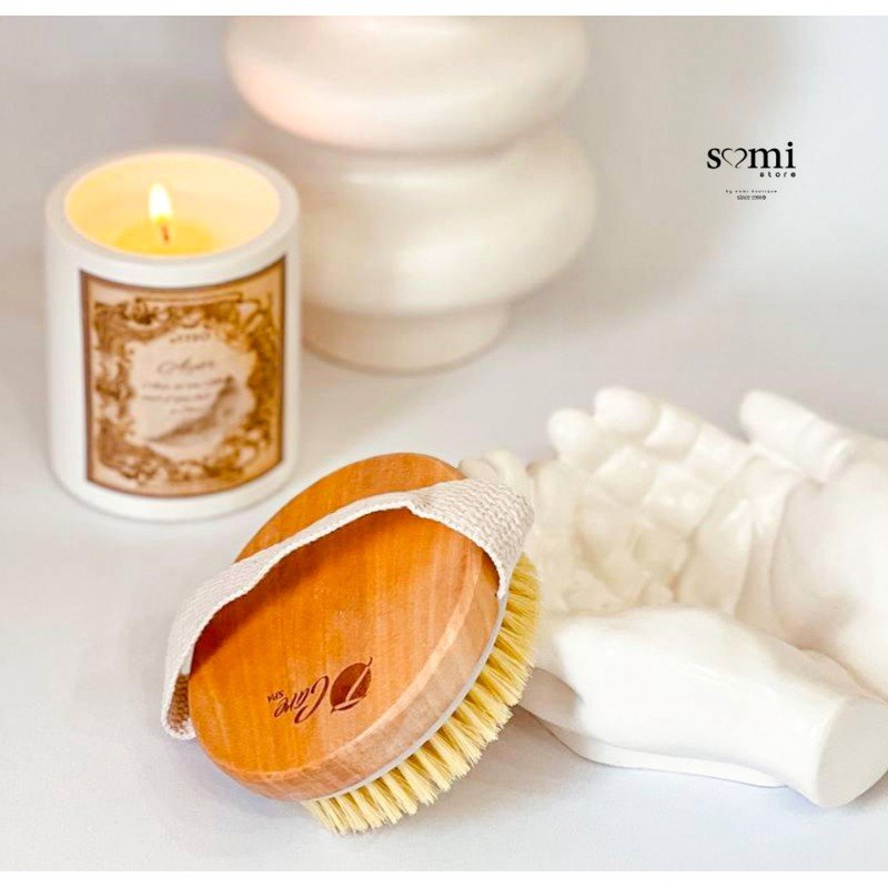 فرشاة جسم T312 - Image 3