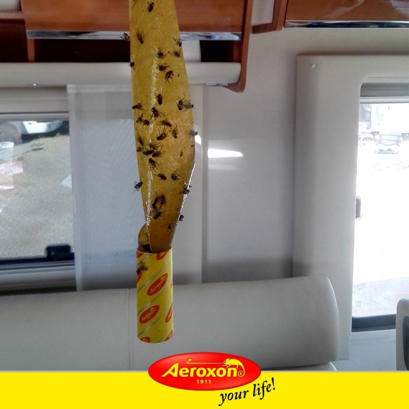 مصيدة الذباب من إيروكسون - Image 4