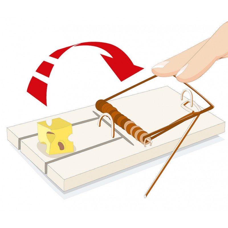 مصيدة فئران من إيروكسون - Image 3