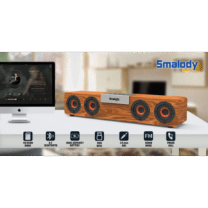 مكبر صوت بلوتوث خشبي من سالمودي