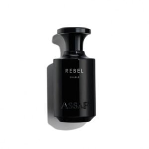 ASSAF REBEL ENABLE ريبل انيبل - المتمرد من عساف (100ML رجالي)
