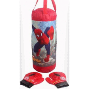 كيس ملاكمة مع قفازات