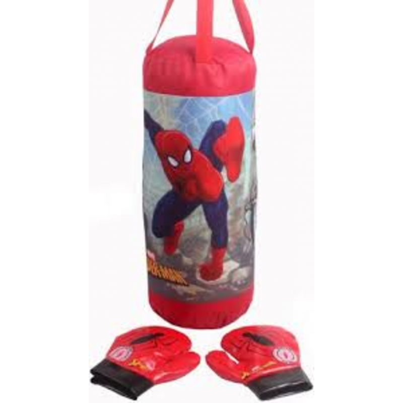 كيس ملاكمة مع قفازات