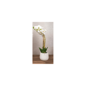 نبتة أوركيد صناعية NOPSIS WHITE بارتفاع 50 سم